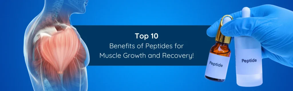 Top 10 Benefits of Peptides for Muscle Growth and Recovery